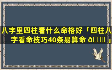 八字里四柱看什么命格好「四柱八字看命技巧40条易算命 🐒 」